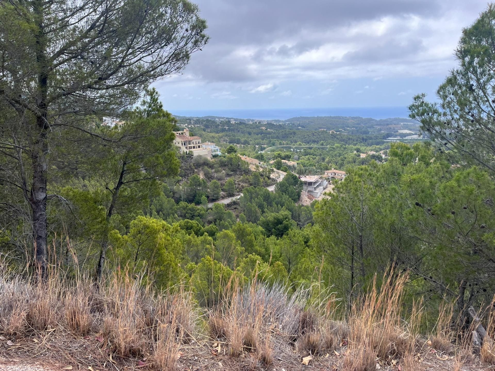 Grund i Callosa d'en Sarrià, salg