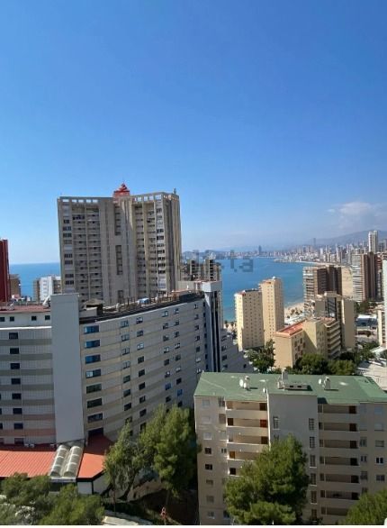 Studio in Benidorm, te koop