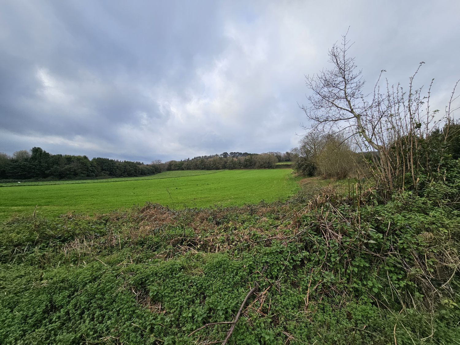 casas-de-pueblo en abegondo · abegondo 110000€