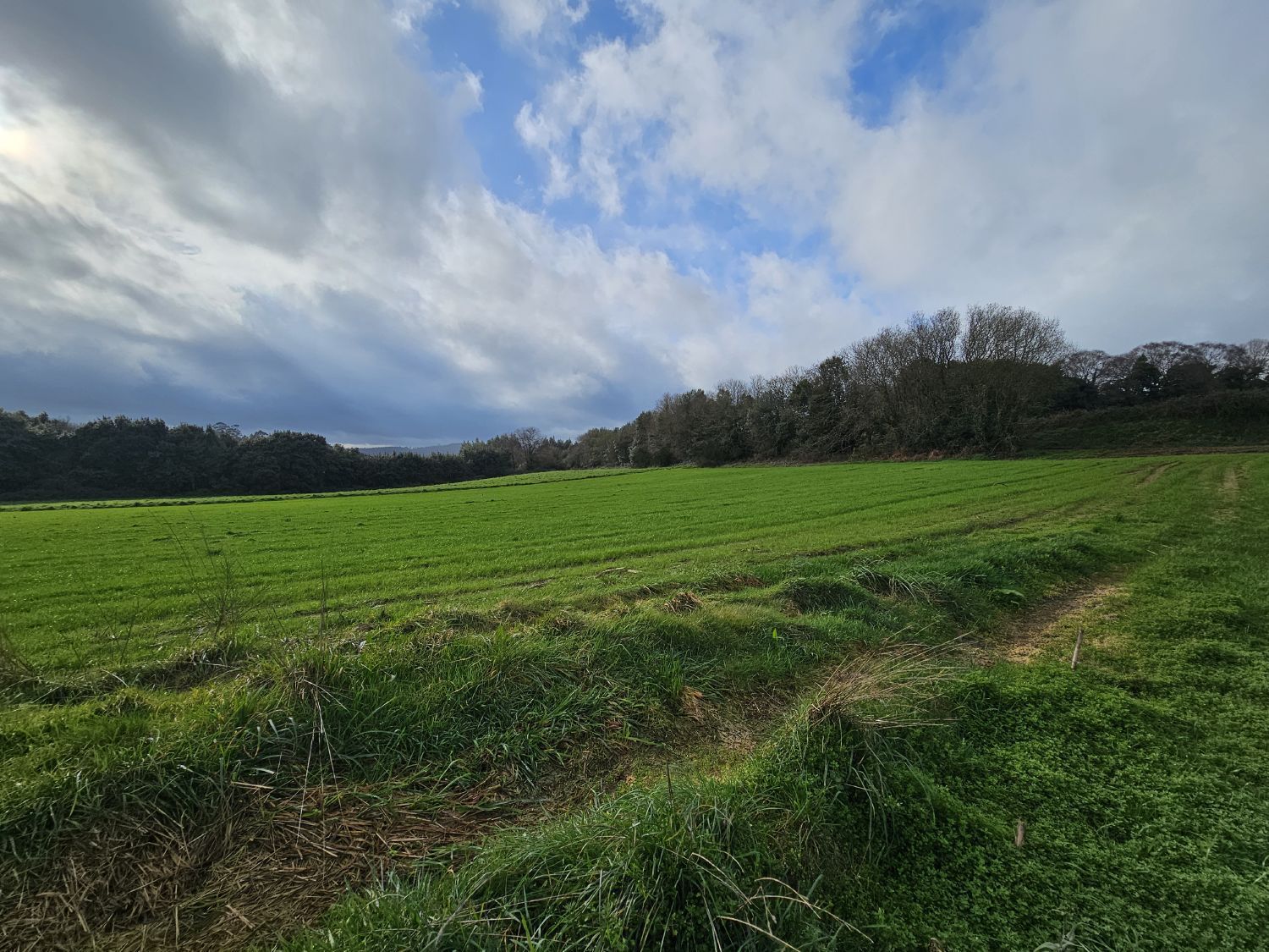 casas-de-pueblo en abegondo · abegondo 110000€