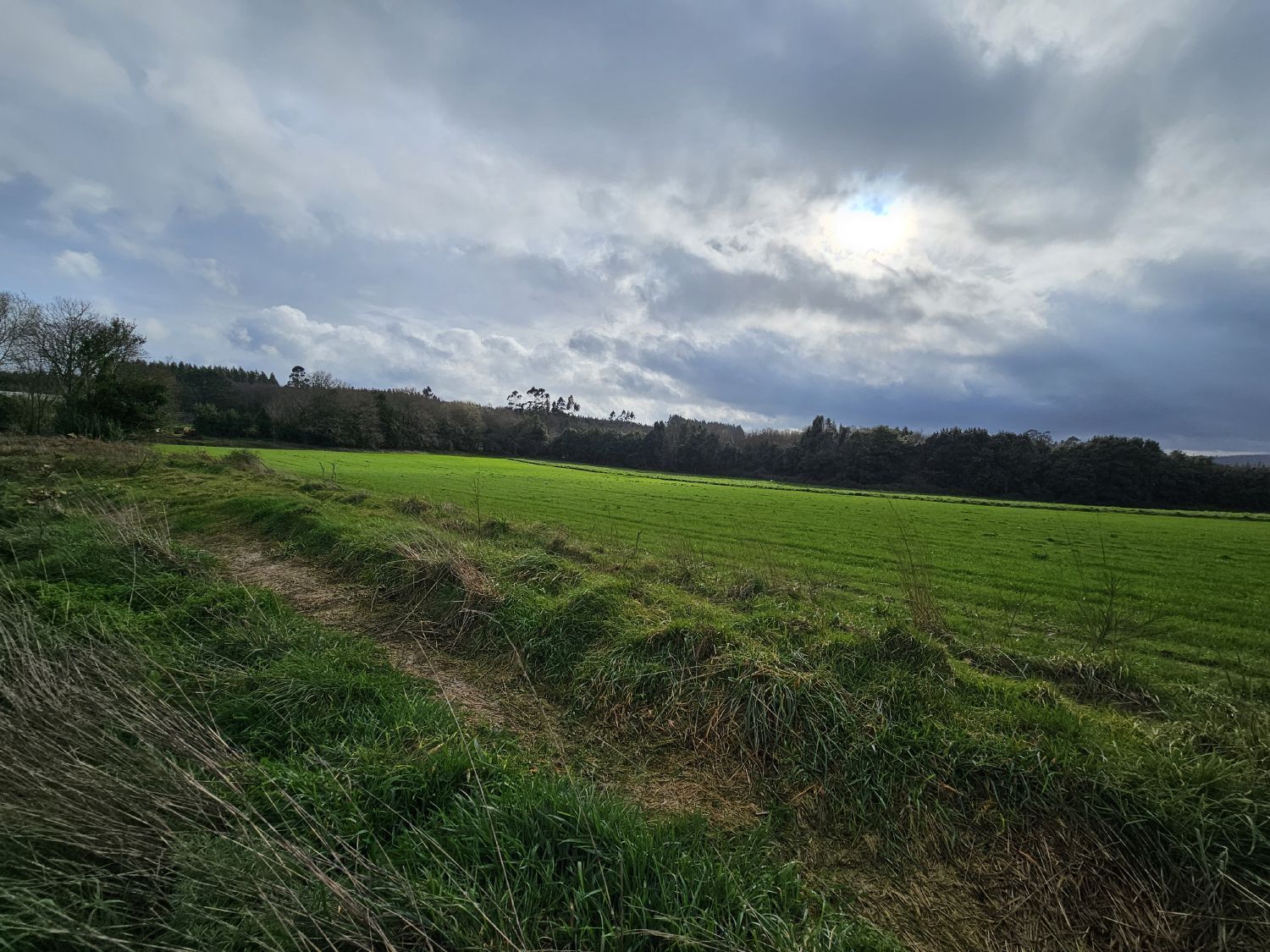 casas-de-pueblo en abegondo · abegondo 110000€