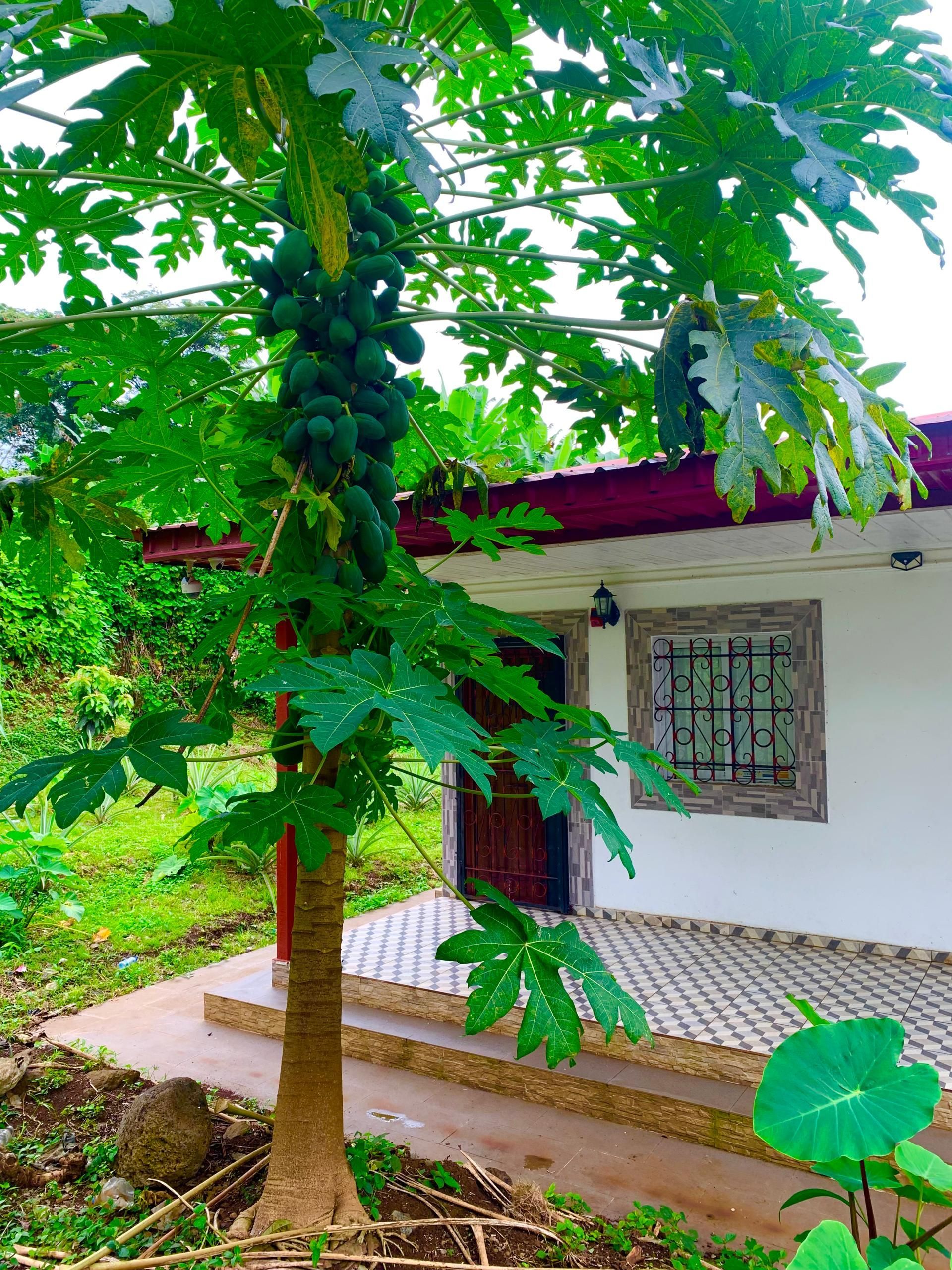 casas--chalets en santa-isabel ·  80000€