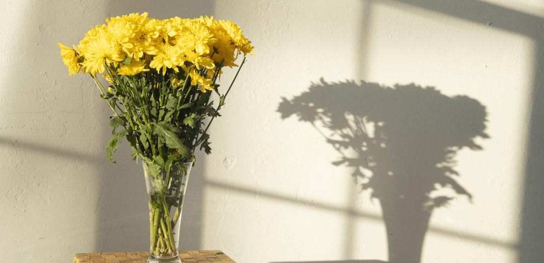 Inspírate en la naturaleza para decorar tu hogar