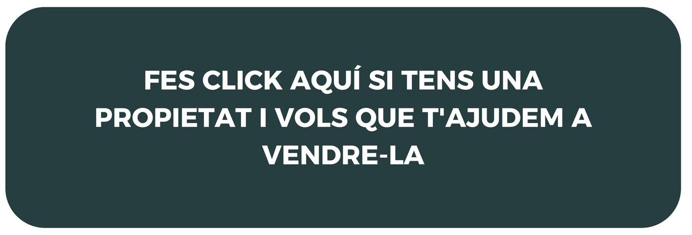nueva-web-4-1.jpg