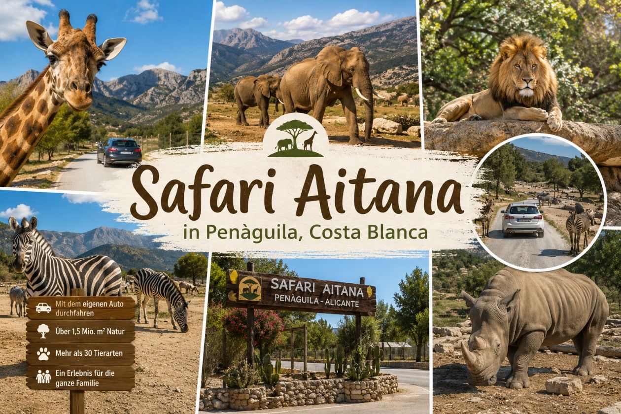5. Vive un Safari con tu Propio Coche – Safari Aitana en Penàguila, Costa Blanca