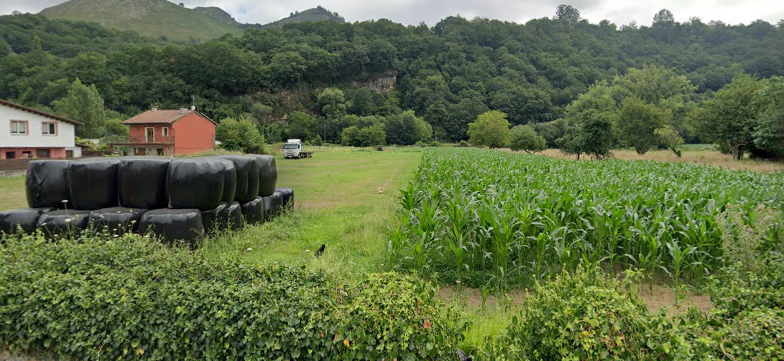 Parcela en Cangas de Onís, venta