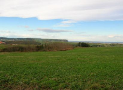 Solar Urbano en Arnuero, venta