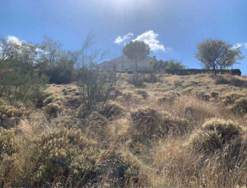 Parcela en Casar, El, venta