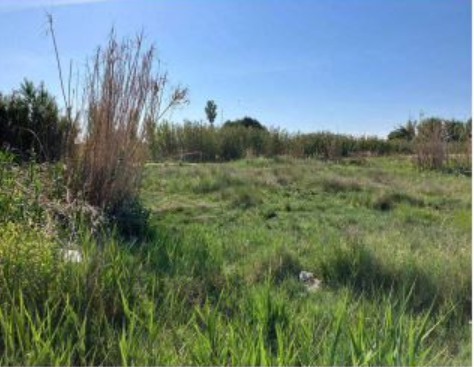 Finca rústica en Puebla de Almoradiel, La, venta