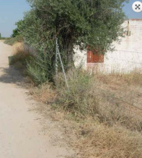 Finca rústica en Arcicóllar, venta