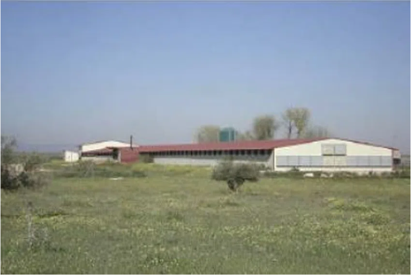 Parcela en Herencia, venta