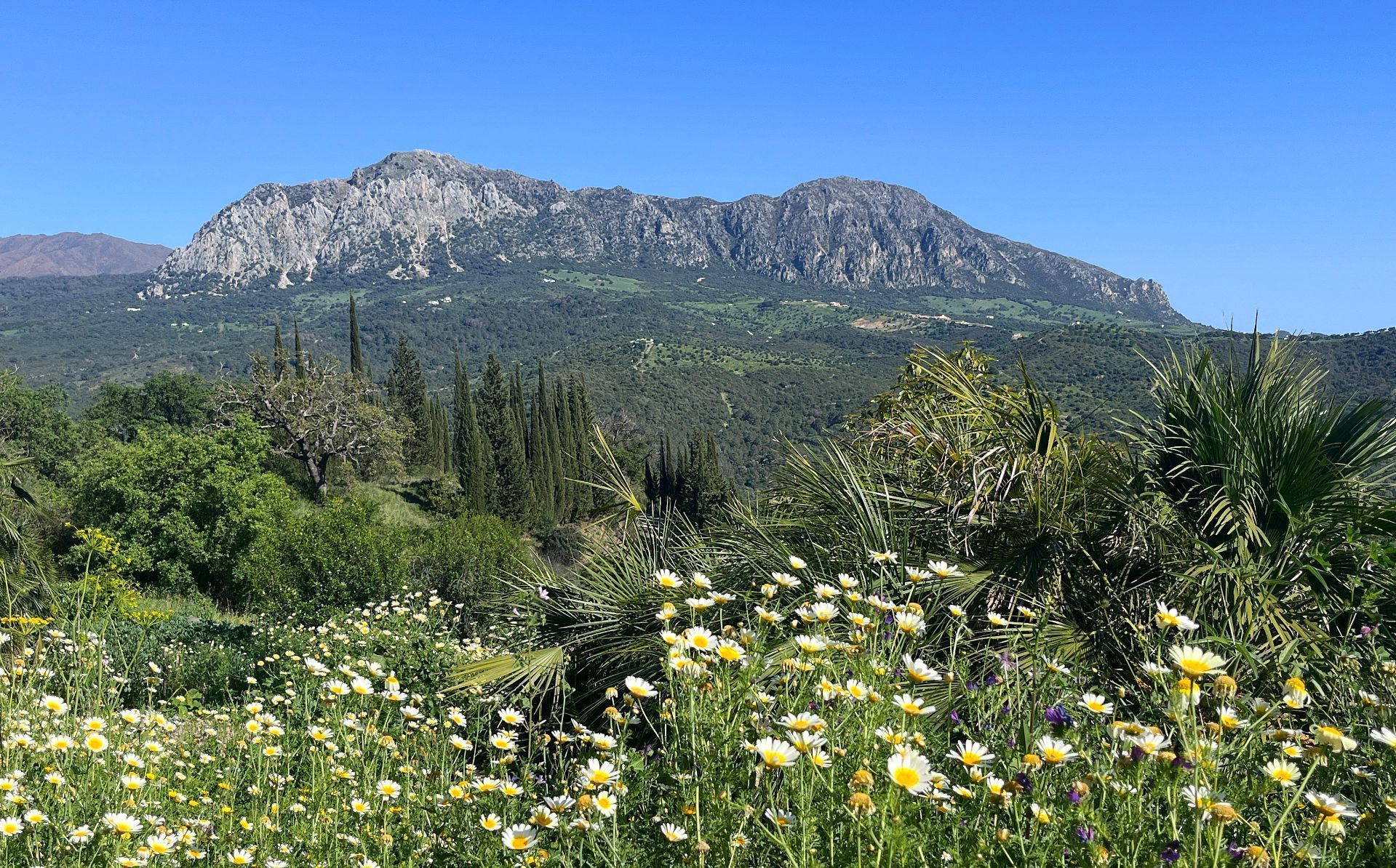 Villa de Lujo en Gaucín, venta