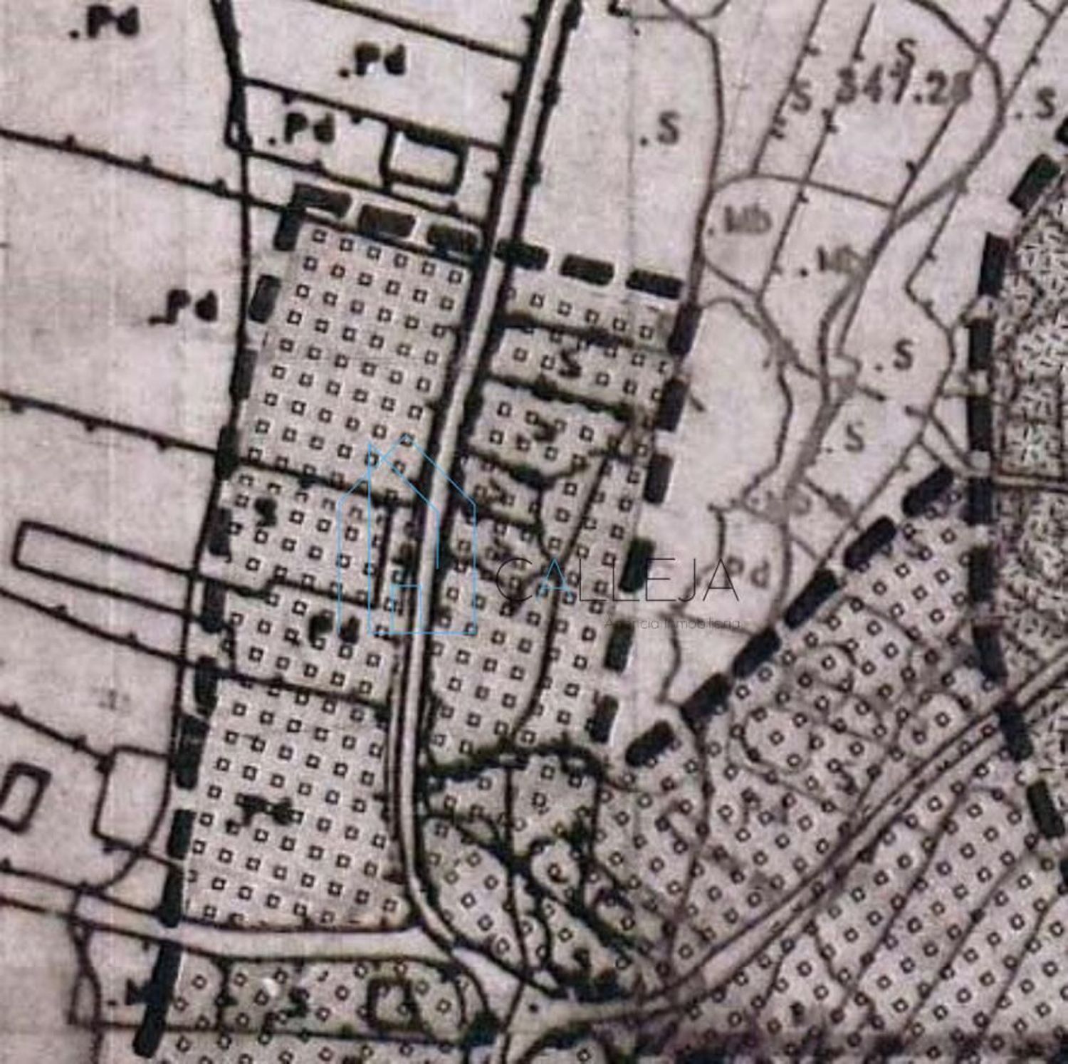 Parcela en venta en O Pereiro de Aguiar