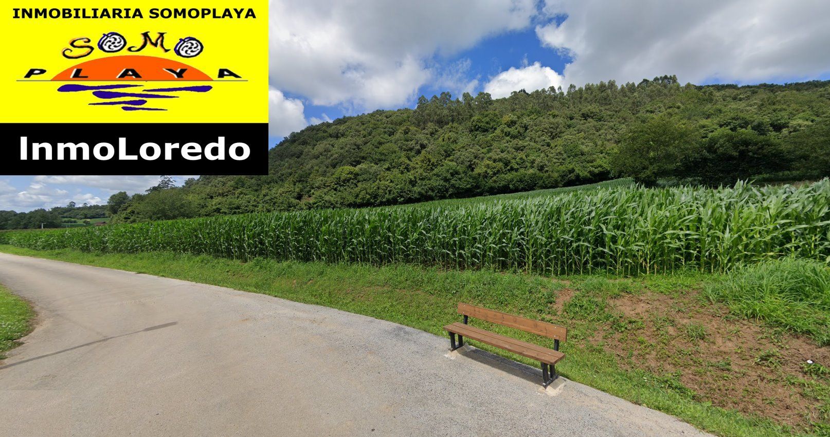 Parcela en Ribamontán al Monte, OMOÑO, venta