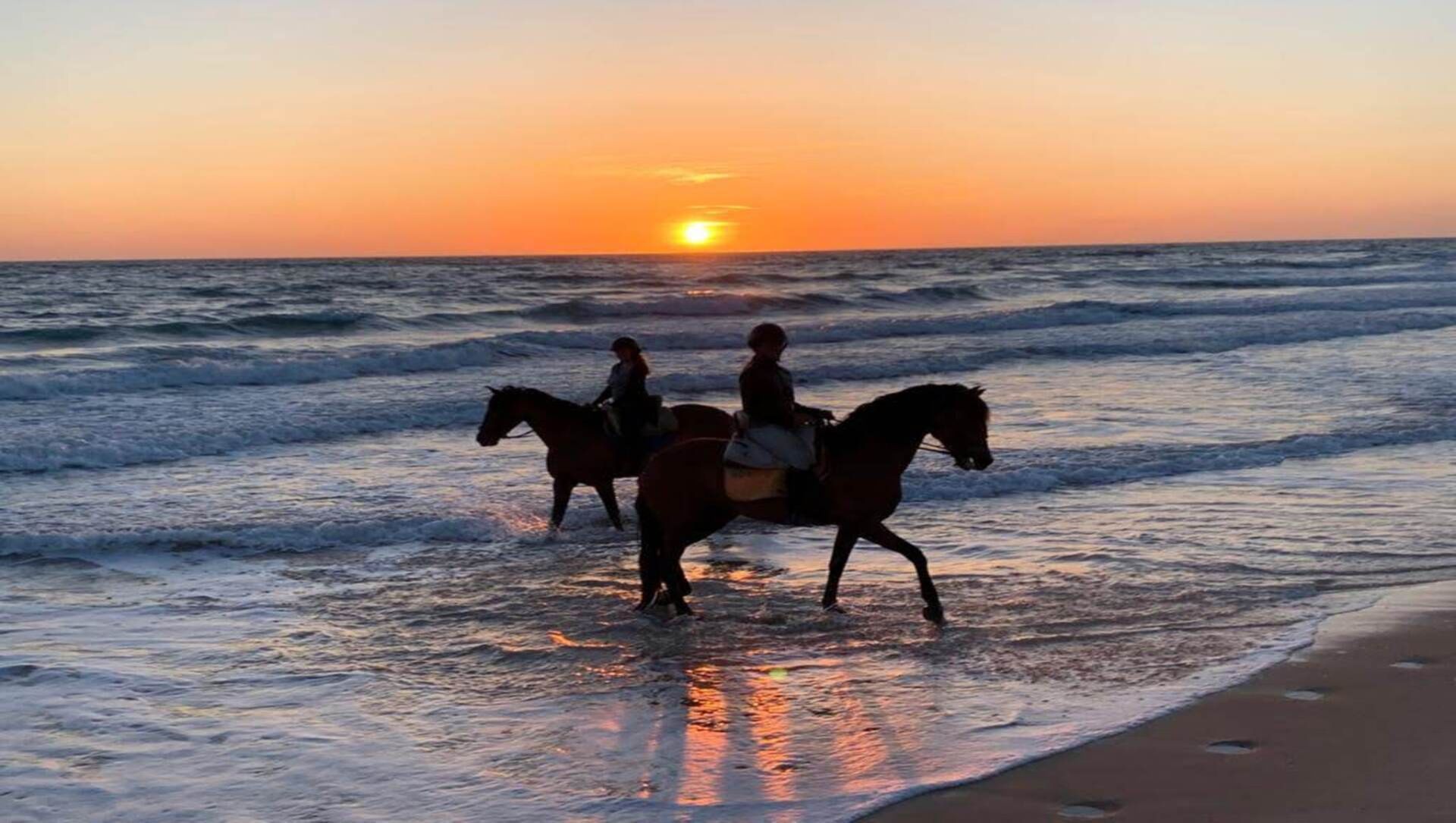 la marina,marinaestate, marina real estate, marina estate, marina