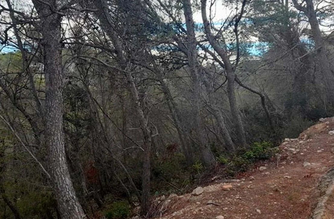 Parcela urbana en venta en Sant Pere de Ribes zona Sant Pere de Ribes