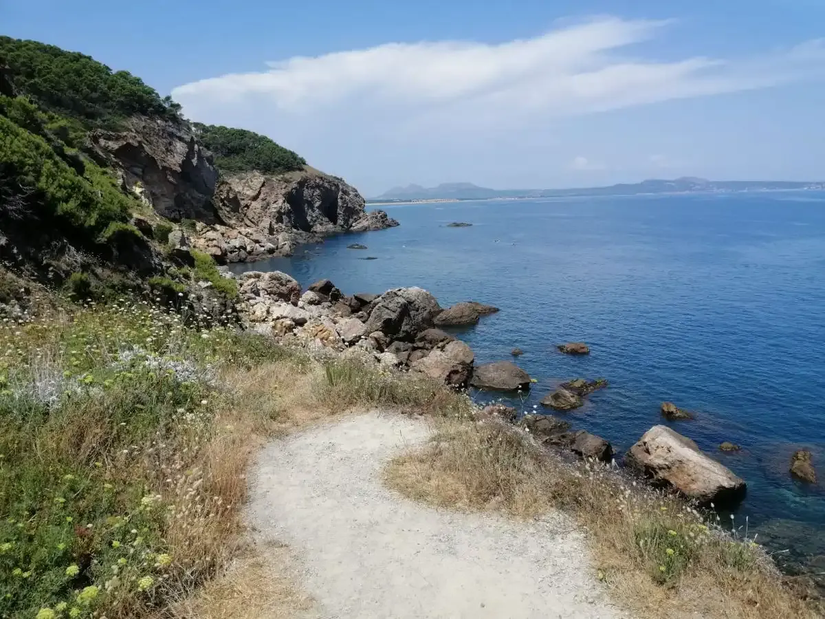 Parcel·la a Begur, en venda