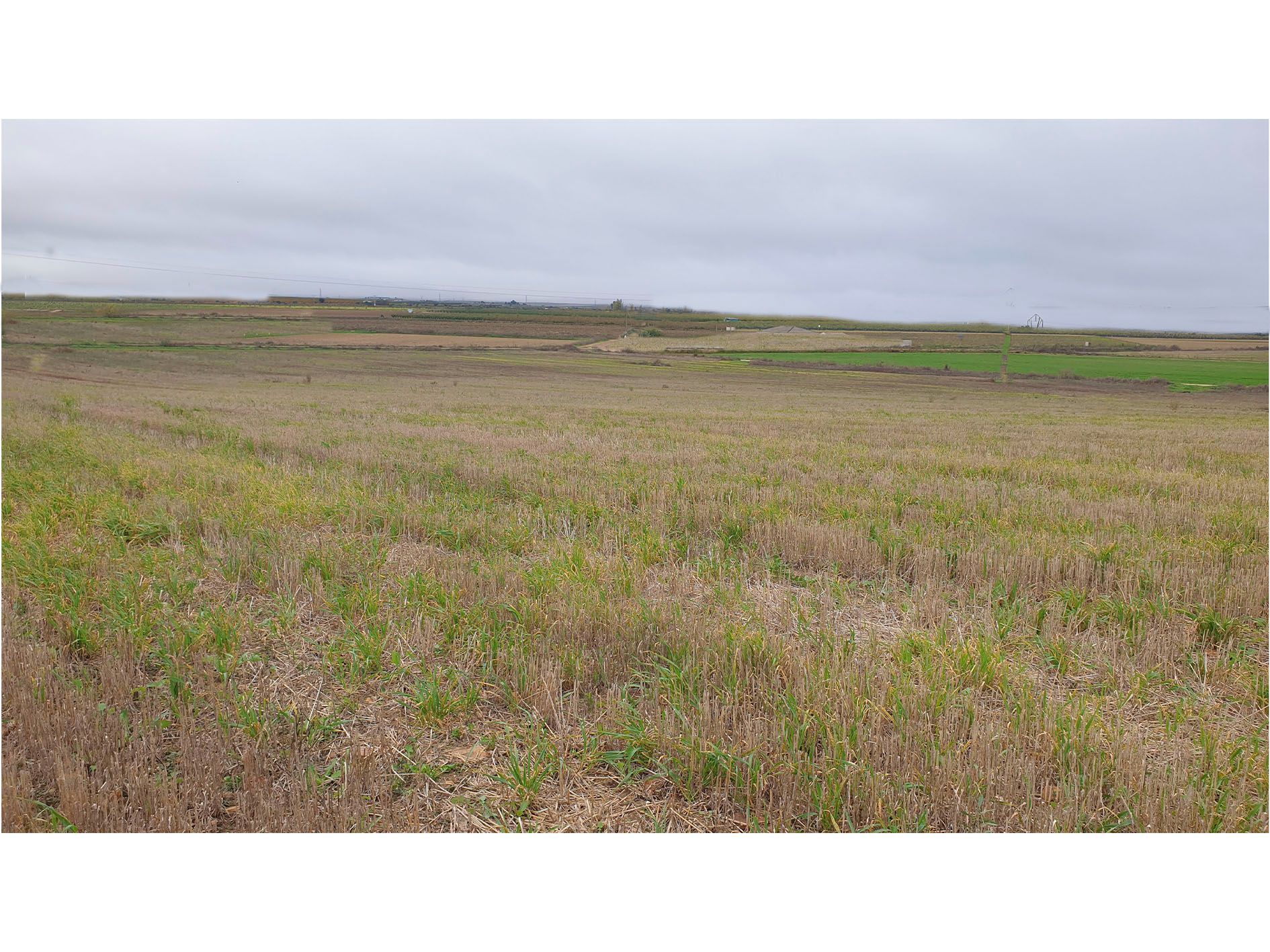 Landejendom i Villanueva de la Serena, salg