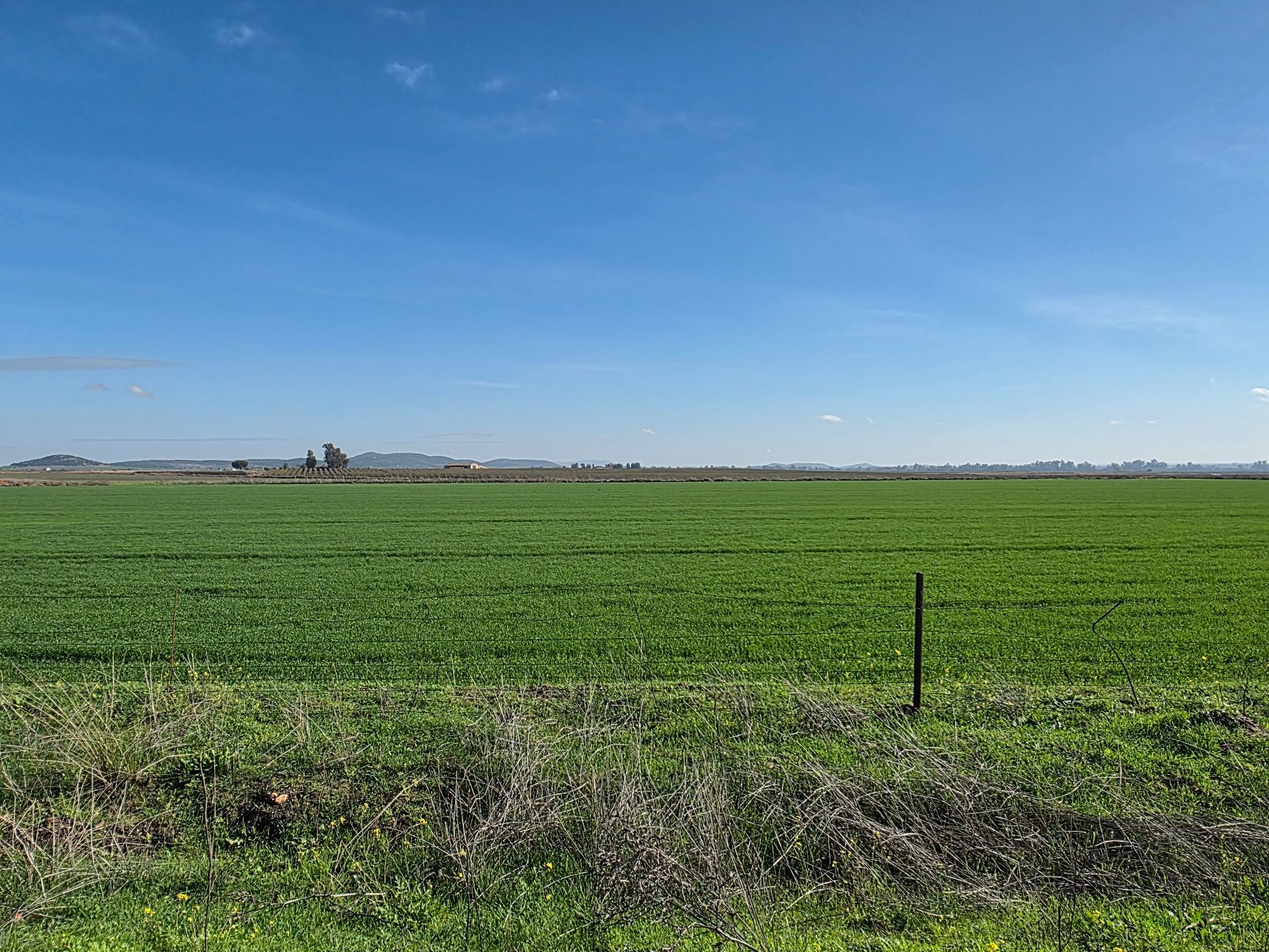 Ländliche Grundstücke in Don Benito, verkauf