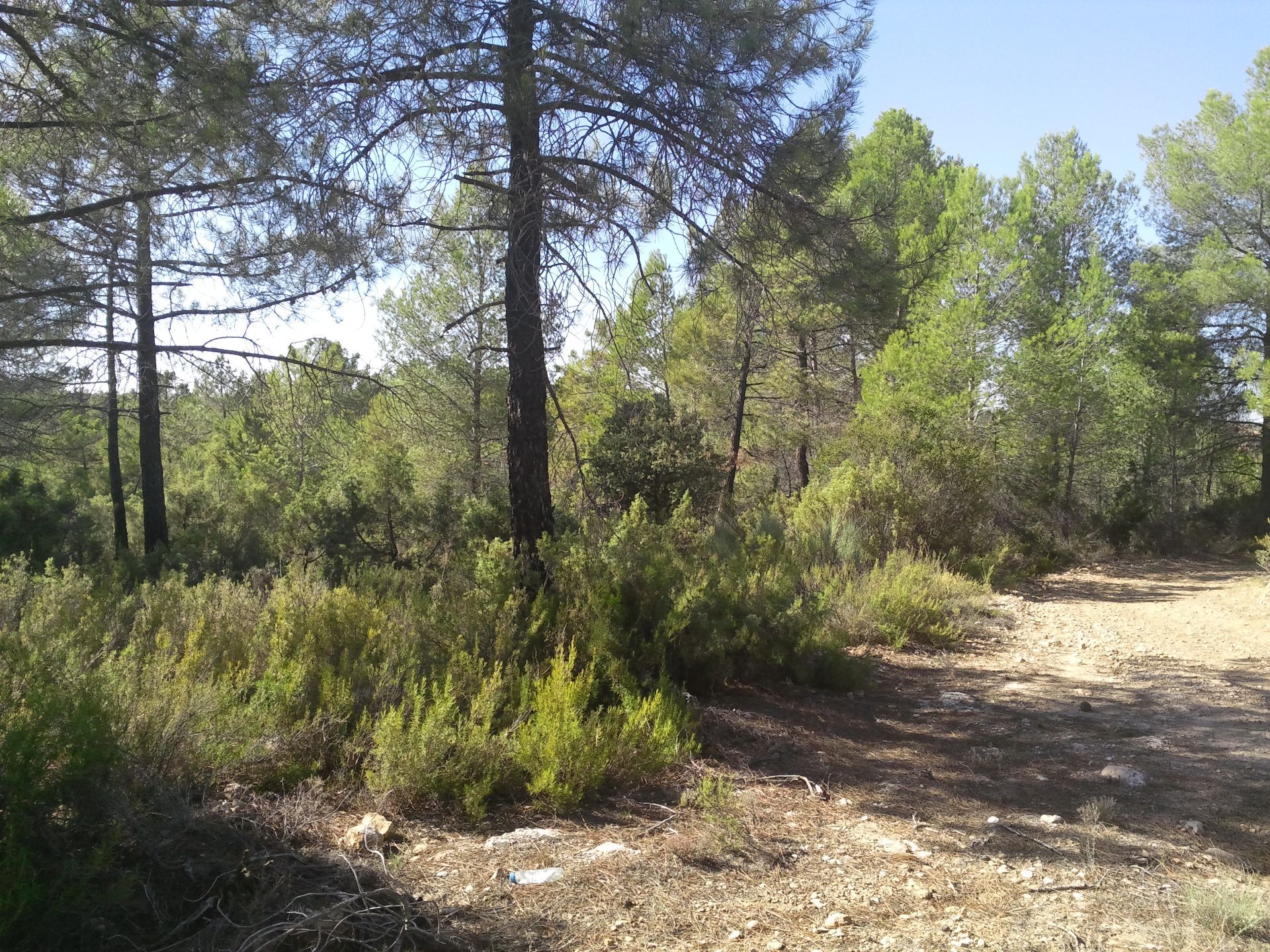 Countryside property in Cuenca, for sale