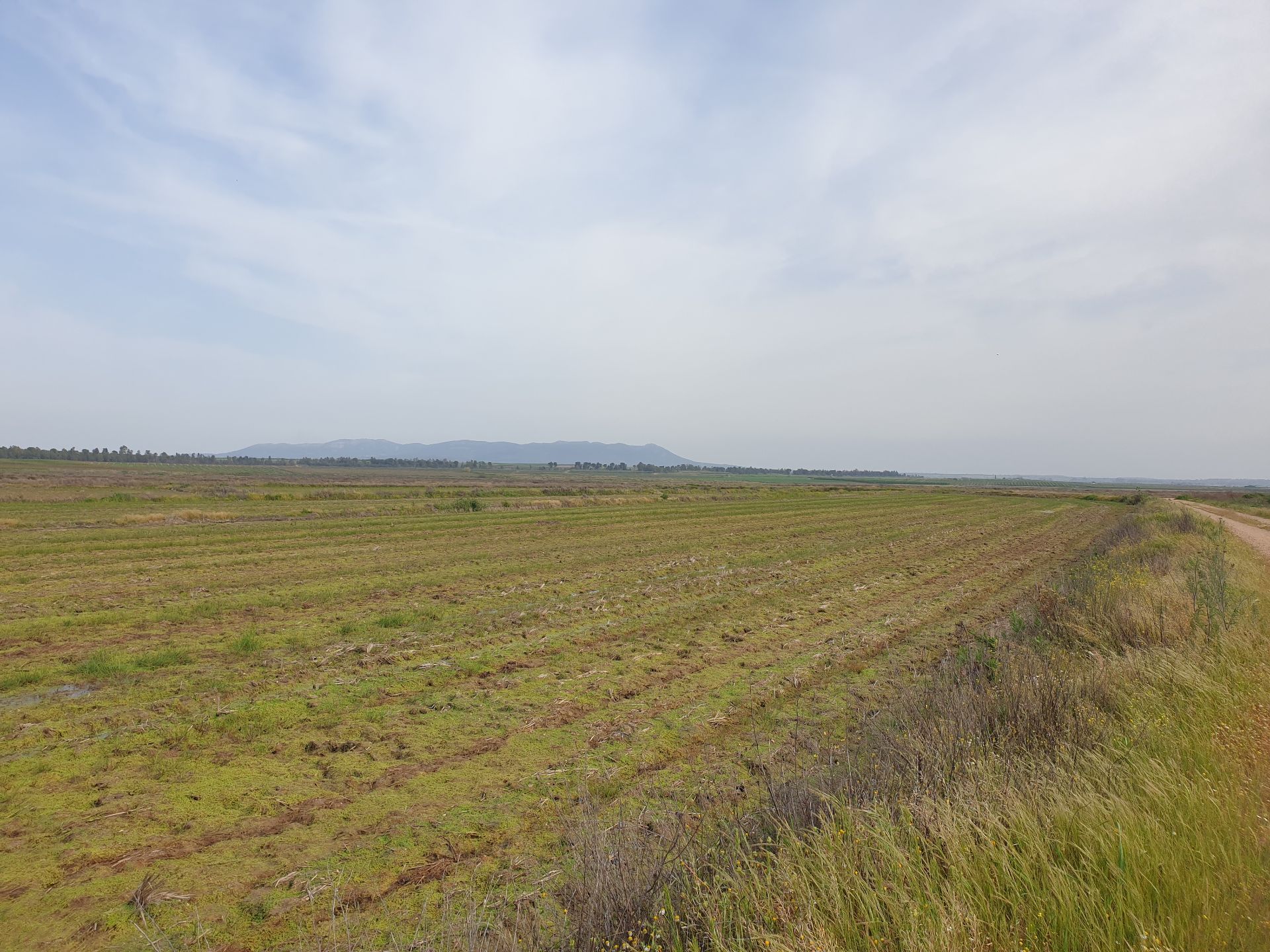 Ländliche Grundstücke in Madrigalejo, verkauf