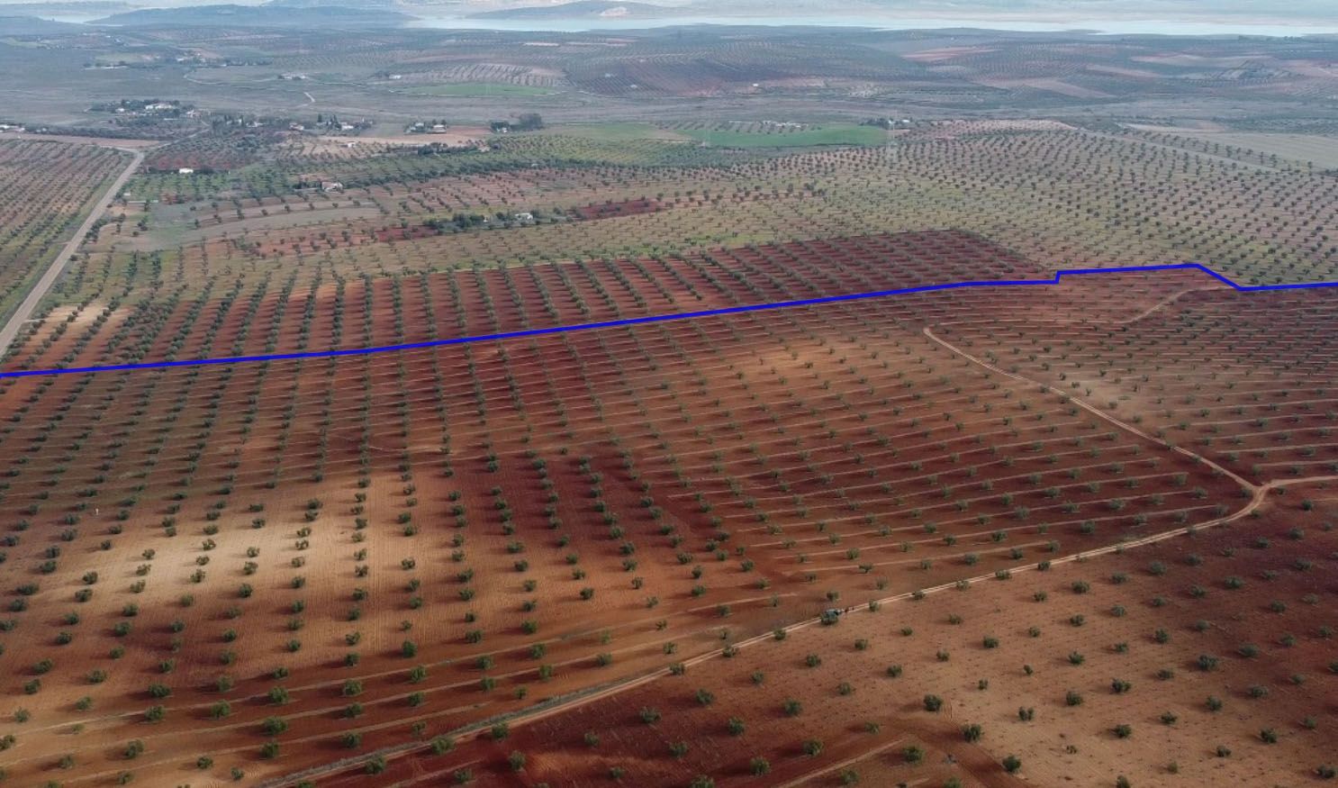 Ländliche Grundstücke in Almendralejo, verkauf