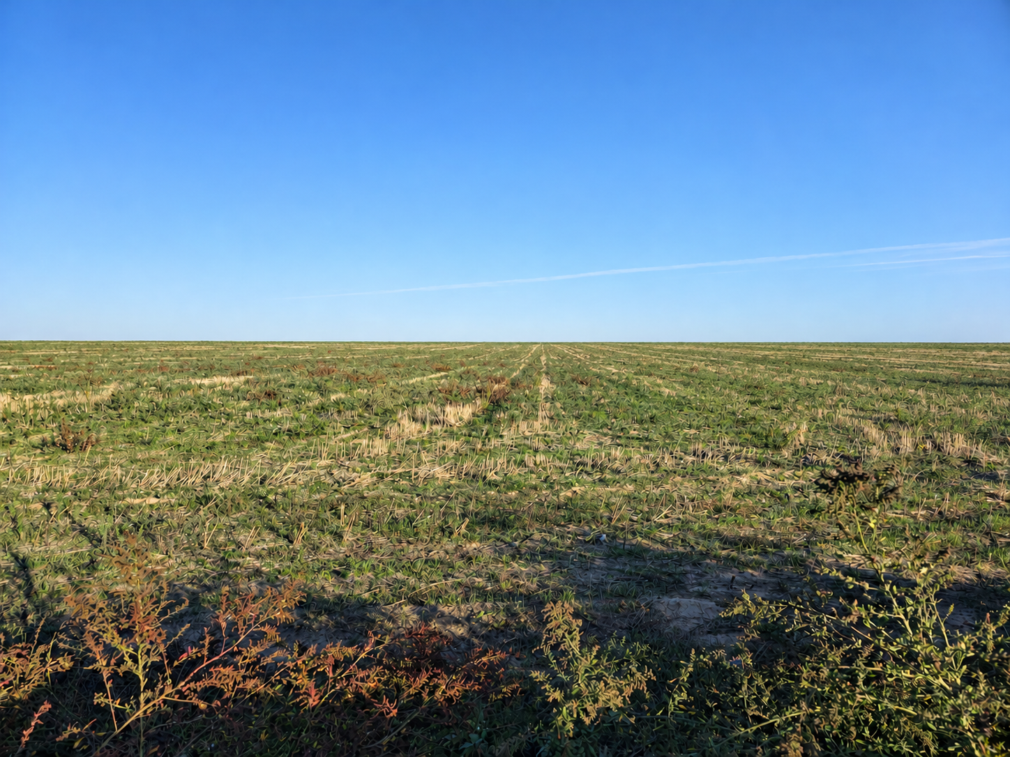 Finca rústica en Villanueva de la Serena, venta