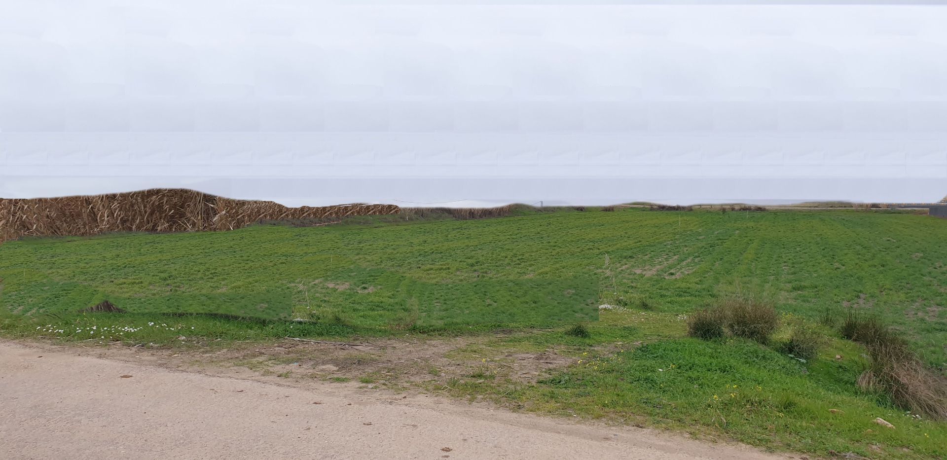 Lote em Villanueva de la Serena, venda