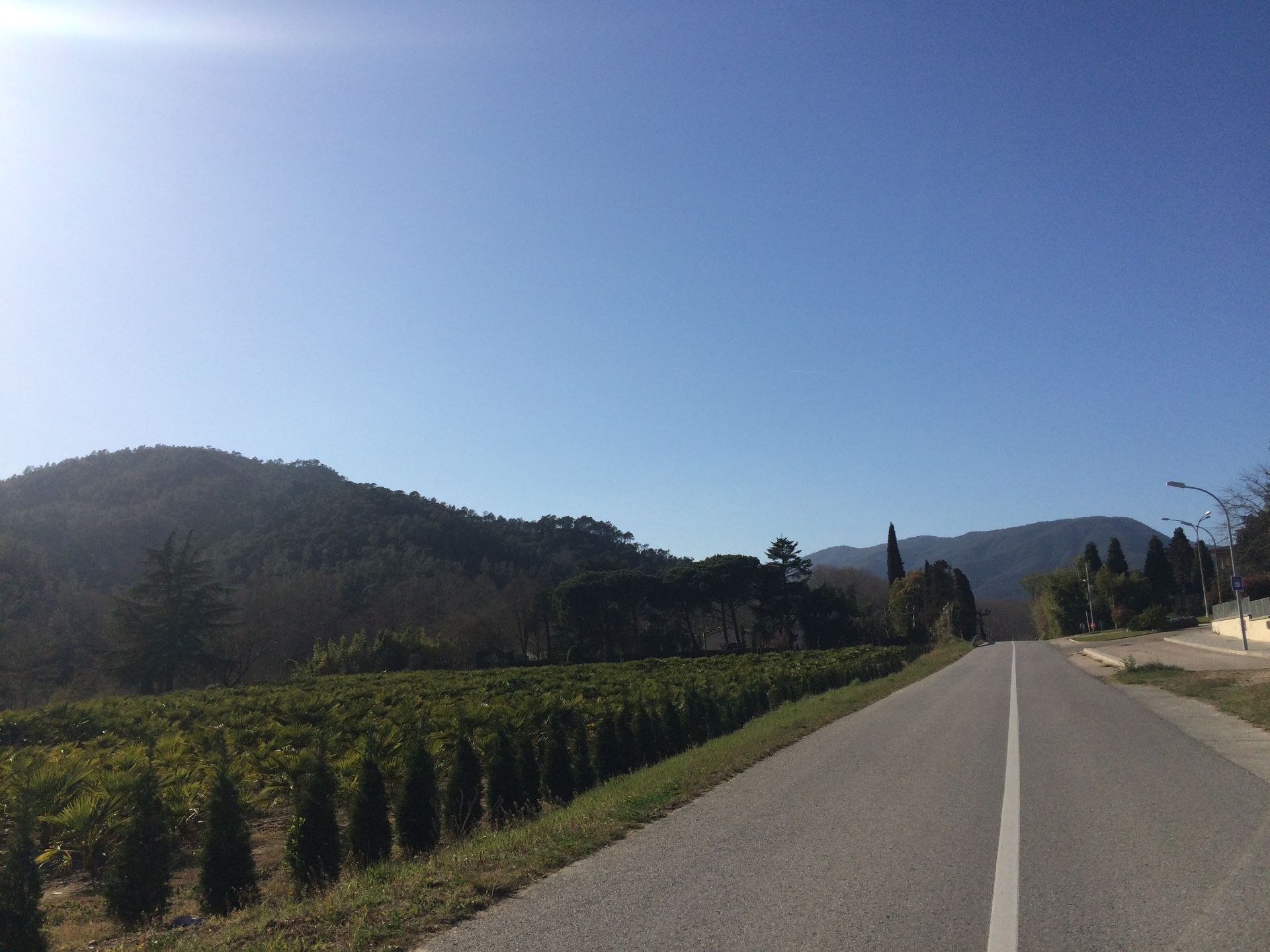 Parcel·la a Santa Coloma de Farners, AFUERAS, en venda