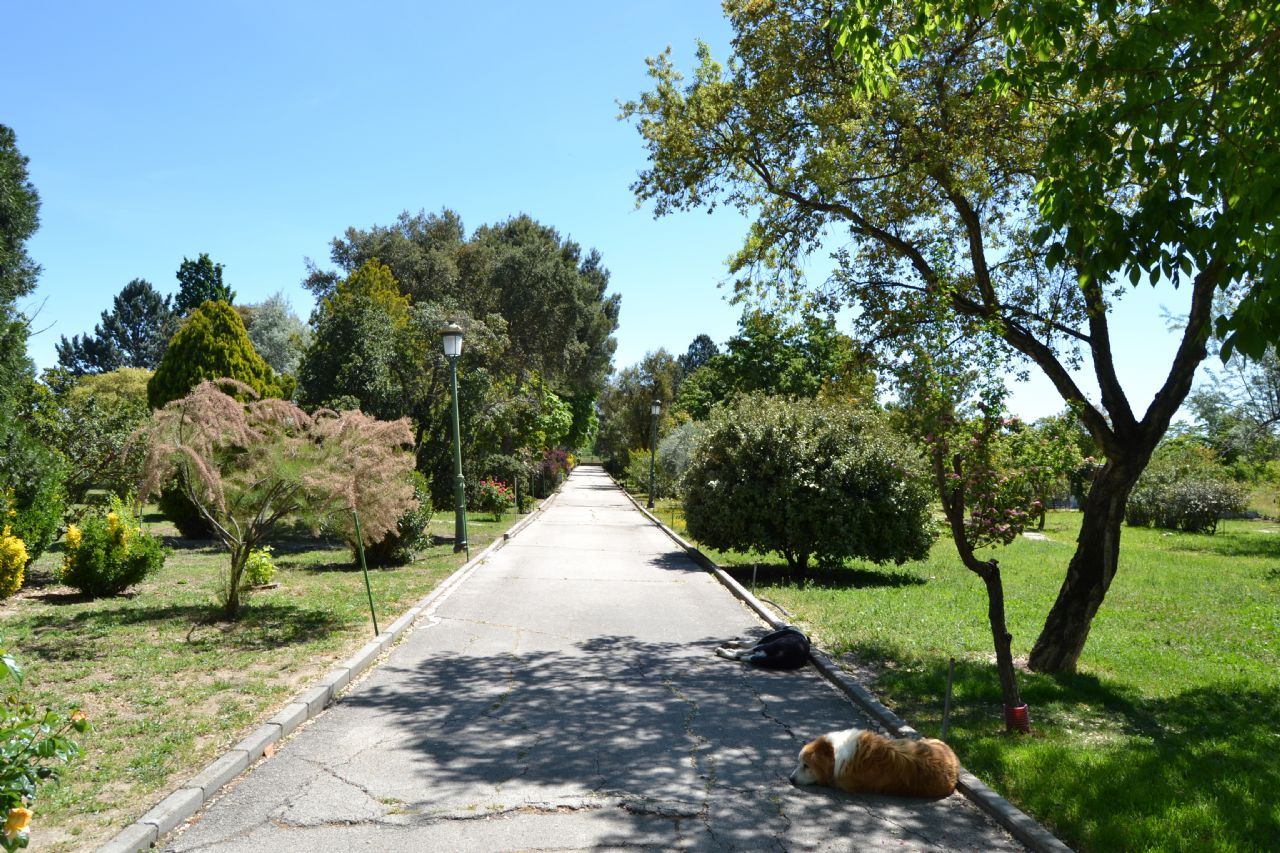 Finca rústica en San Sebastián de los Reyes, A-1, venta
