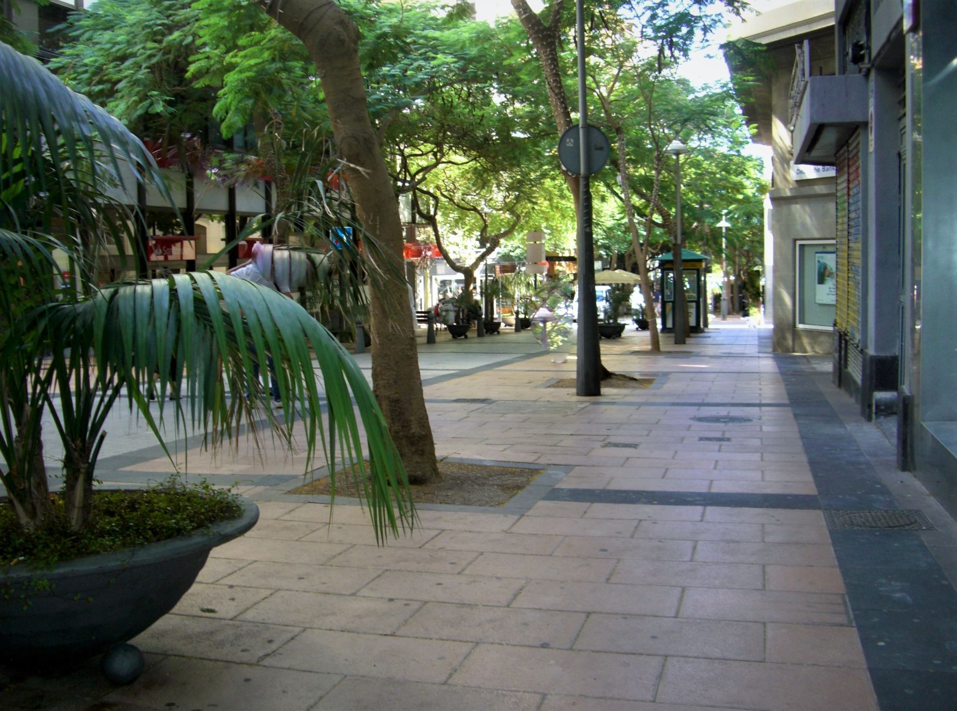Local comercial en Santa Cruz de Tenerife, Zona Centro Santa Cruz, alquiler