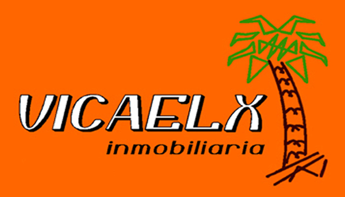 vicaelx.com