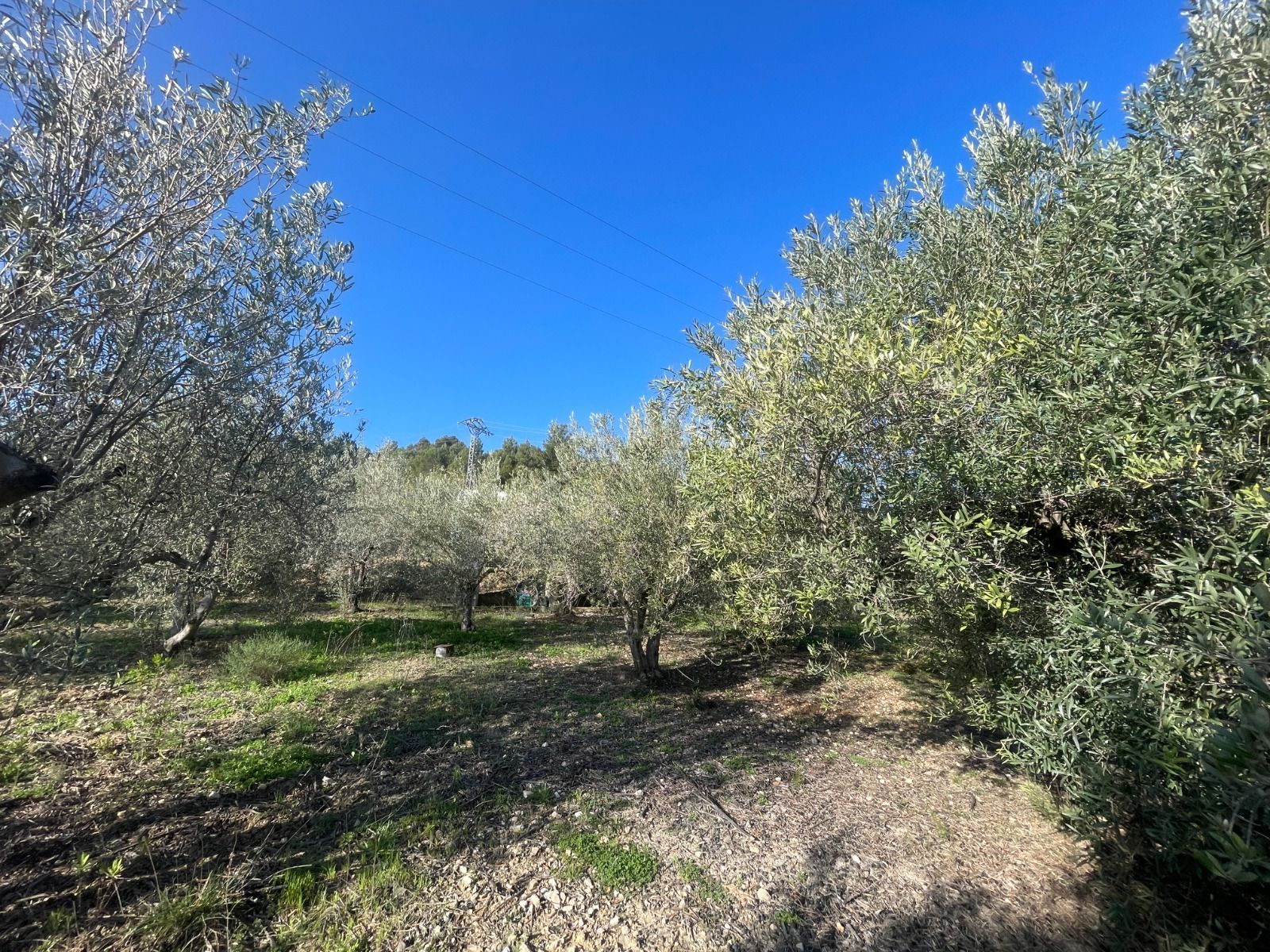 Parcela en venta en Benifato