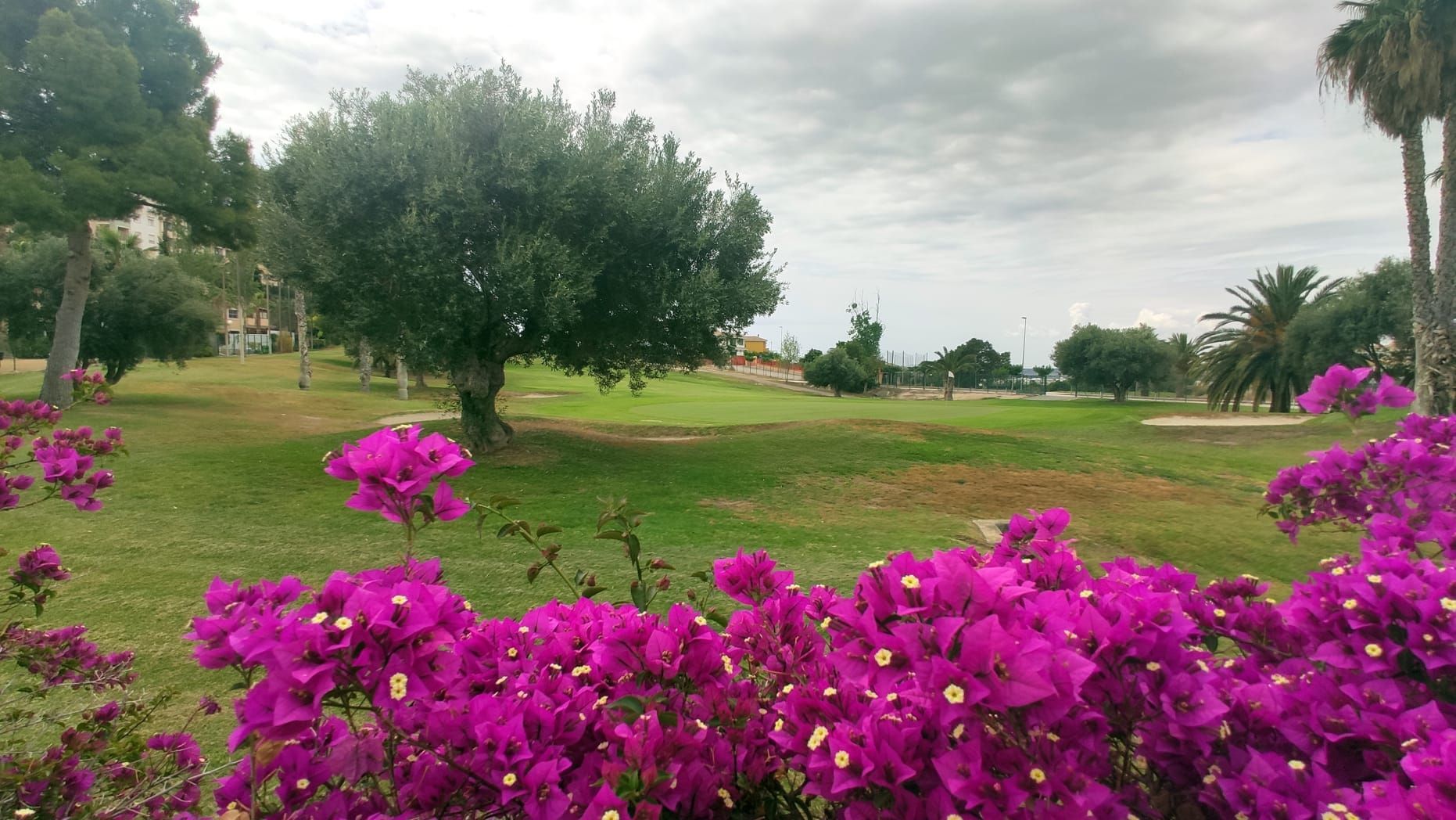 Villa in Muchamiel, Bonalba, for sale