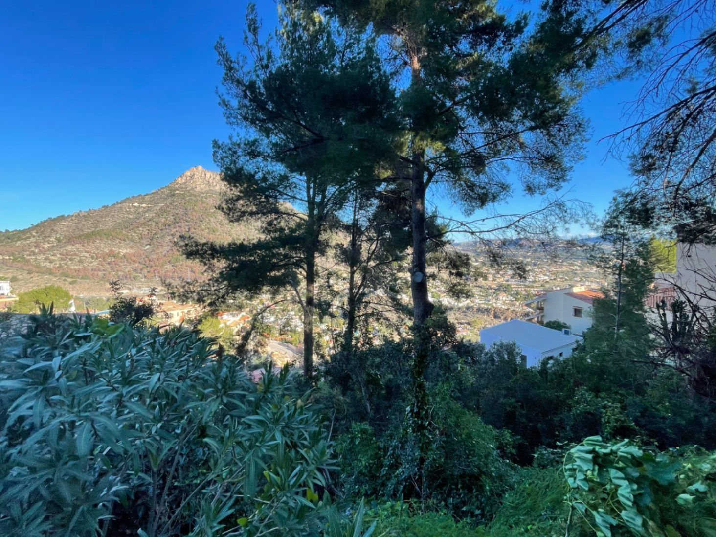 Terreno en venta en Calpe / Calp
