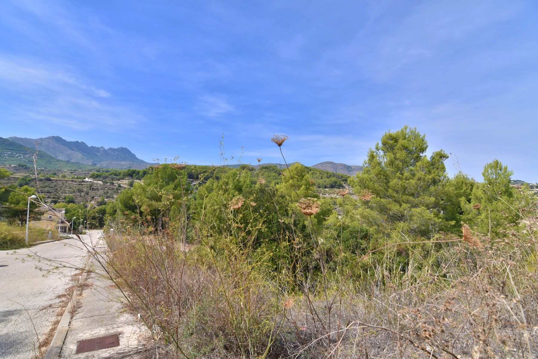 For Sale. Plot in Calpe