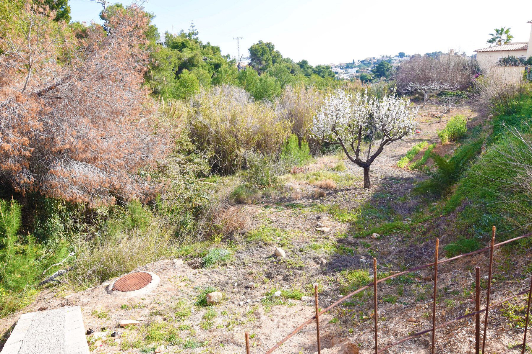 Venta. Parcela/Terreno en Benissa