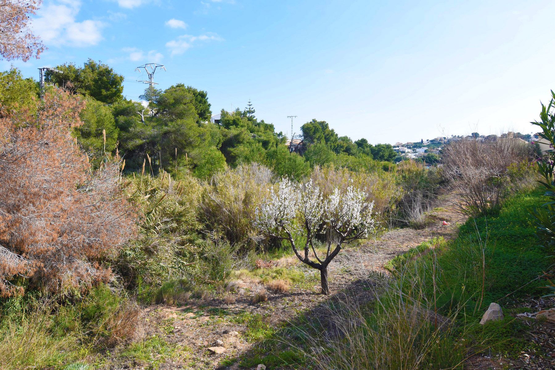 Verkauf. Grundstück in Benissa