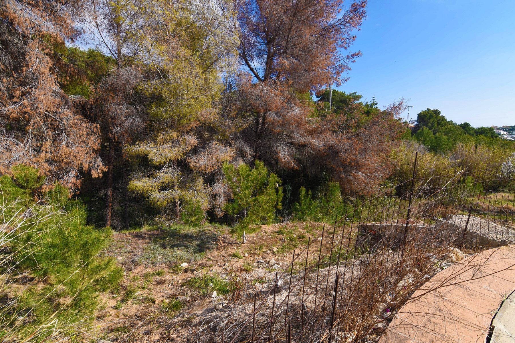 Venta. Parcela/Terreno en Benissa