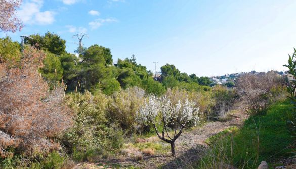 Grundstück in Benissa, La Fustera, verkauf