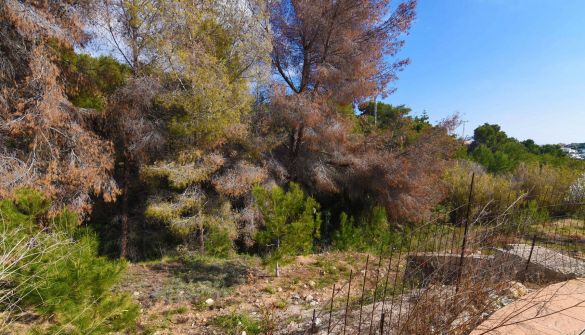 Grundstück in Benissa, La Fustera, verkauf