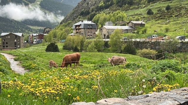 Appartement à Incles, Incles, vente