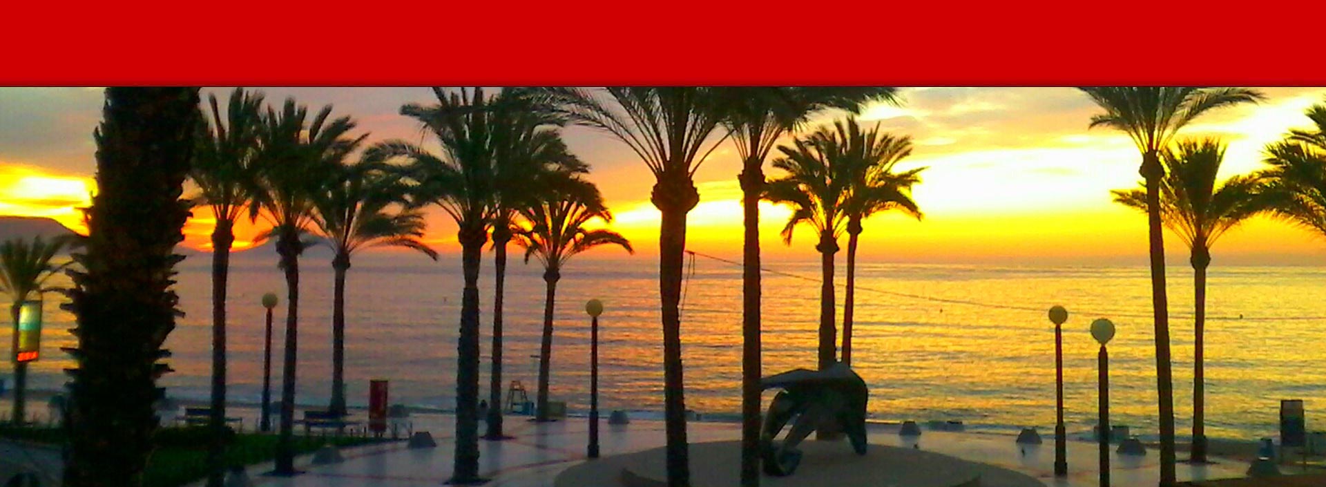 Swiss Real Estate Agency