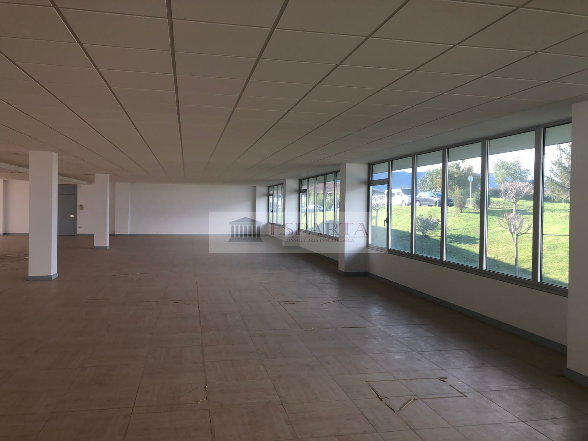 Oficina en Erandio, venta