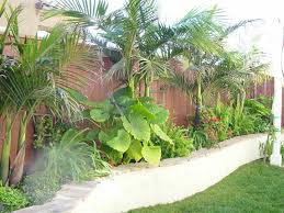 jardin-3_2.jpg
