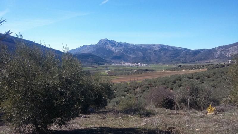 Parcela en Alfarnate, ALFARNATE, venta