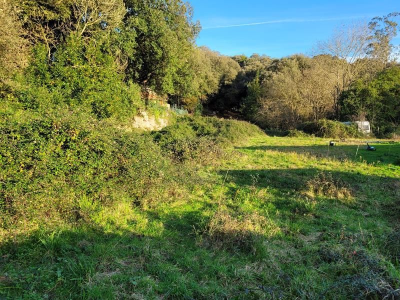 Parcela en Llanes, Quintana, venta