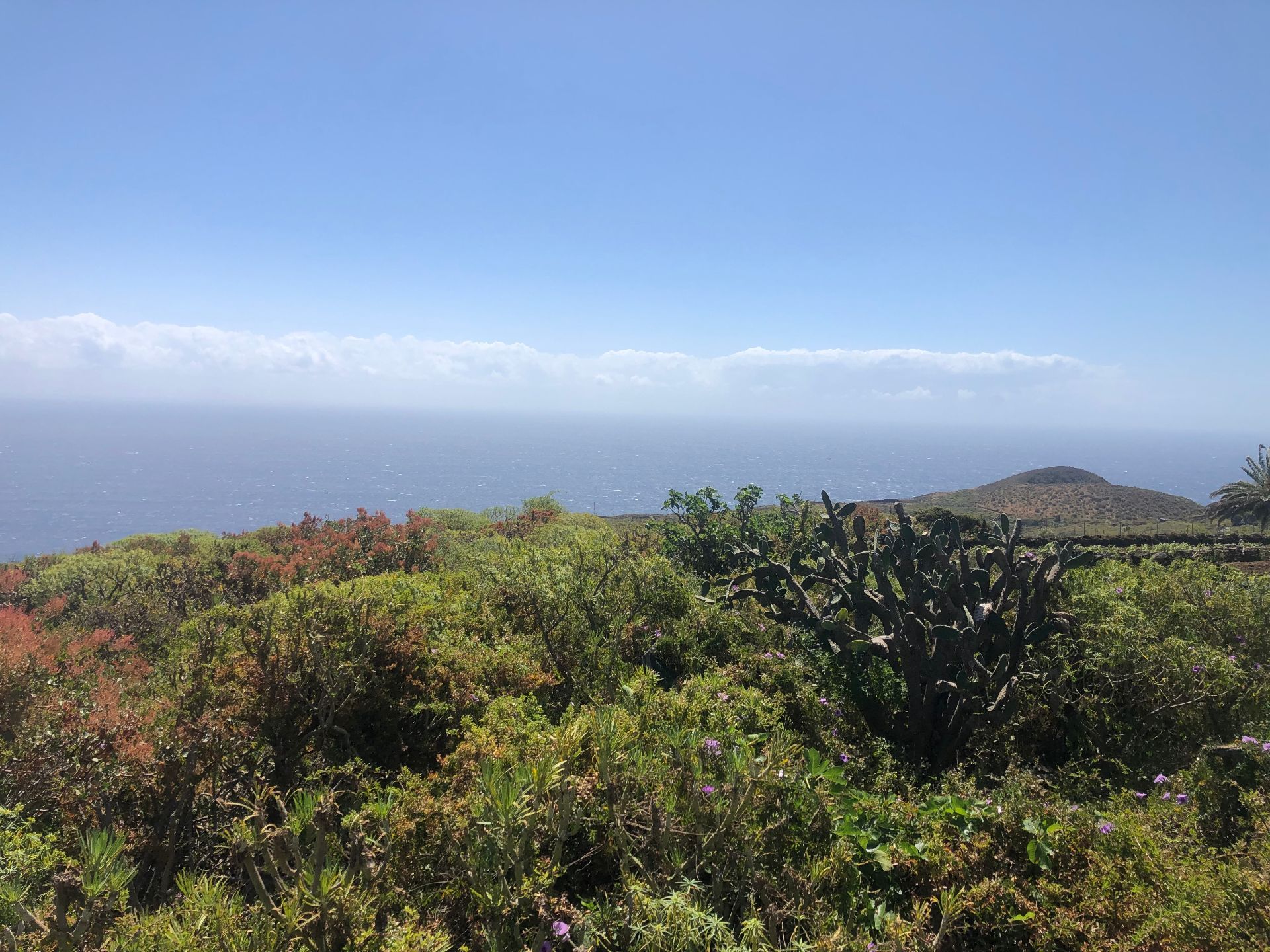 Parcela en Villa de Mazo, SAN SIMON, venta