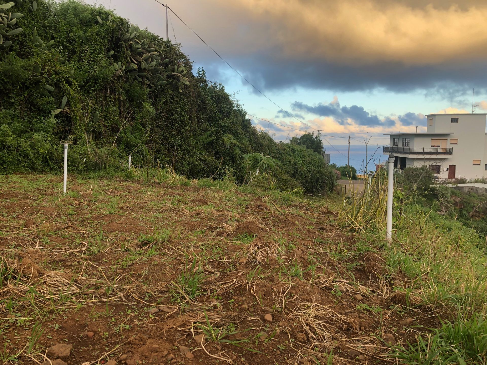 Parcela en Puntallana, venta