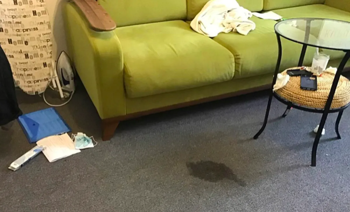 Замытое пятно крови в квартире Лобанова после обыска 29 декабря 2022 года